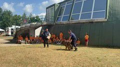 005b16bc-9546-4705-aa71-f8878e7c0379_ft2.webp