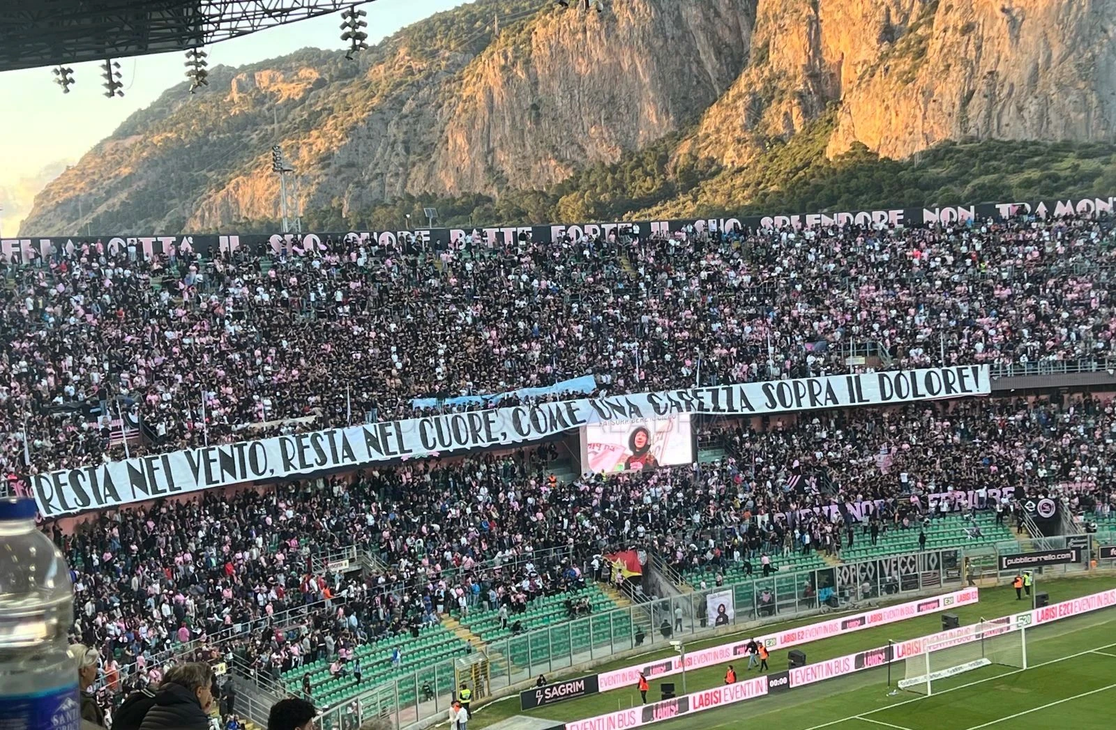 Palermo-Catanzaro, i provvedimenti del giudice sportivo: 20mila euro ai rosanero e stop ai tesserati