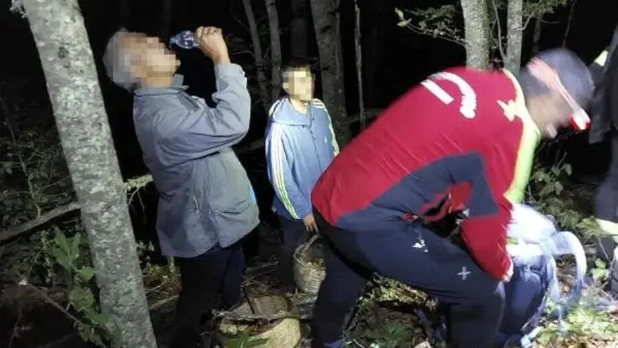 images Due fungaioli dispersi nei boschi del cosentino: recuperati dai Vigili del fuoco