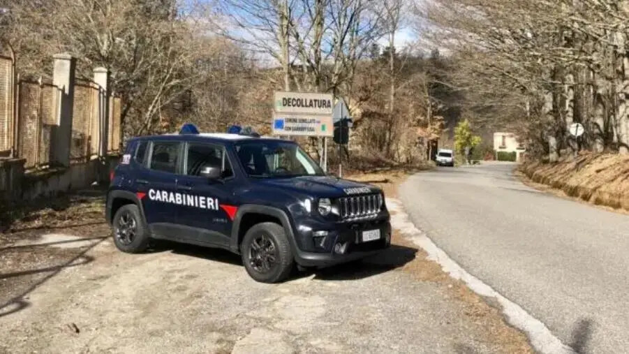 Controlli sulla corretta detenzione degli animali domestici: nel Lametino multe a 5 persone images Controlli sulla corretta detenzione degli animali domestici: nel Lametino multe a 5 persone