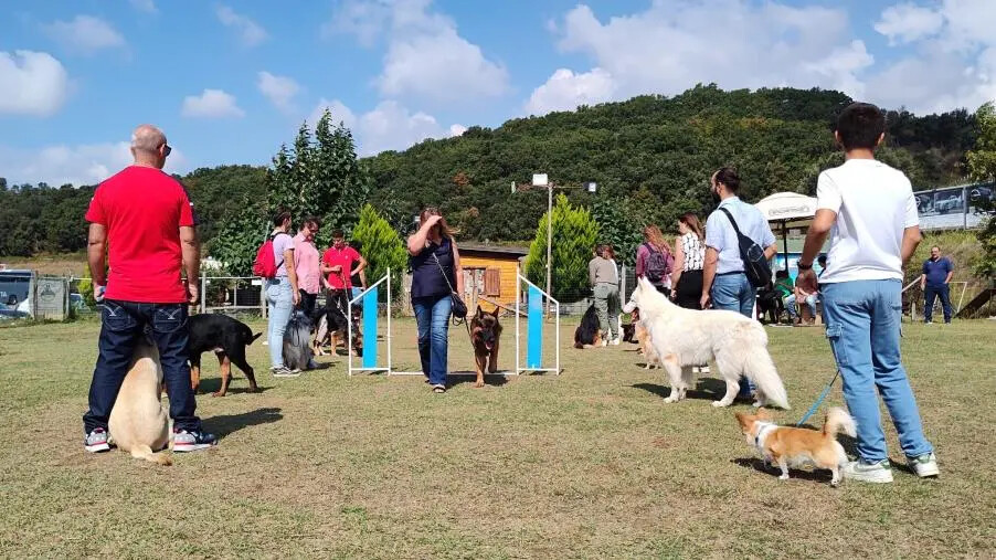 images “Un cane dentro per un futuro fuori”, il progetto a Lamezia che ha coinvolto i giovani detenuti dell'IPM