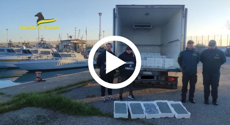 images Vibo, sequestrati oltre 17 quintali di novellame per un valore di 50 mila euro