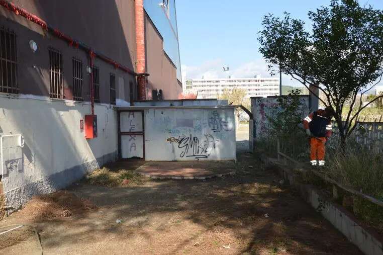 Catanzaro, Celia: "Al via la bonifica dell'area dietro PalaCorvo, intervento atteso dai residenti" images Catanzaro, Celia: "Al via la bonifica dell'area dietro PalaCorvo, intervento atteso dai residenti"