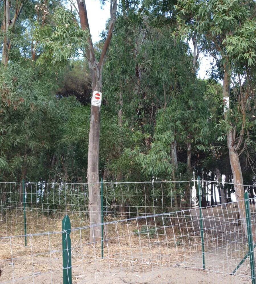 images Oasi di Scolacium, il Codacons: “Un’area protetta non si recinta con la prepotenza del fatto compiuto”