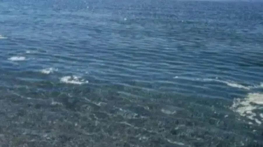 images Operazione Scirocco, scarcerati i fratelli Minieri e il tecnico Valentino