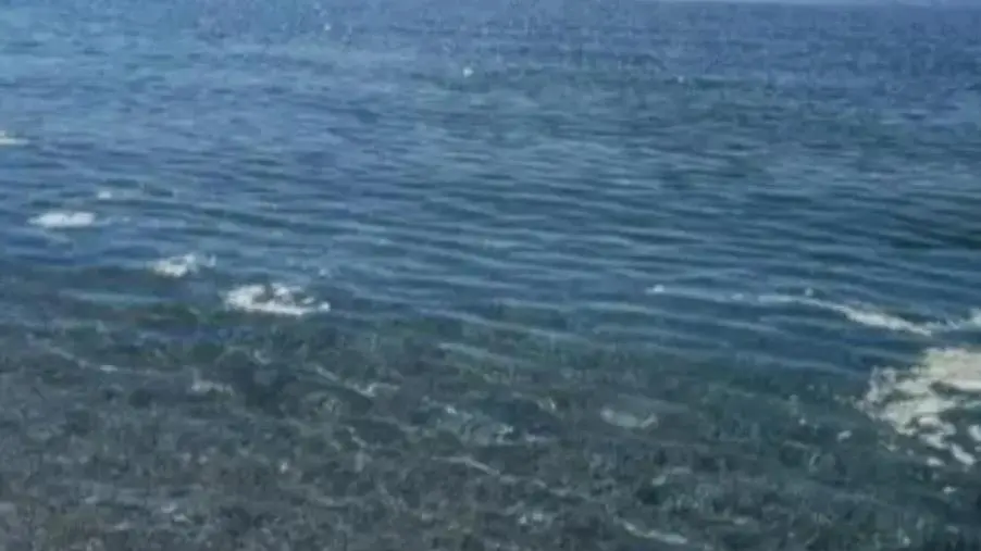 Maxi blitz sui depuratori, le pompe ferme d'estate a Belvedere e gli sversamenti in mare images Maxi blitz sui depuratori, le pompe ferme d'estate a Belvedere e gli sversamenti in mare