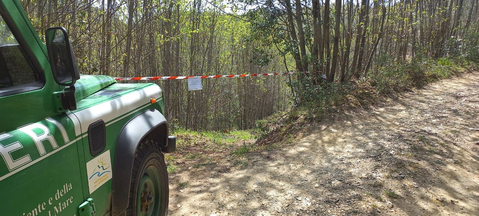 Operazione dei Forestali contro tagli boschivi irregolari e furto di legna nel Parco Nazionale dell’Aspromonte images Operazione dei Forestali contro tagli boschivi irregolari e furto di legna nel Parco Nazionale dell’Aspromonte