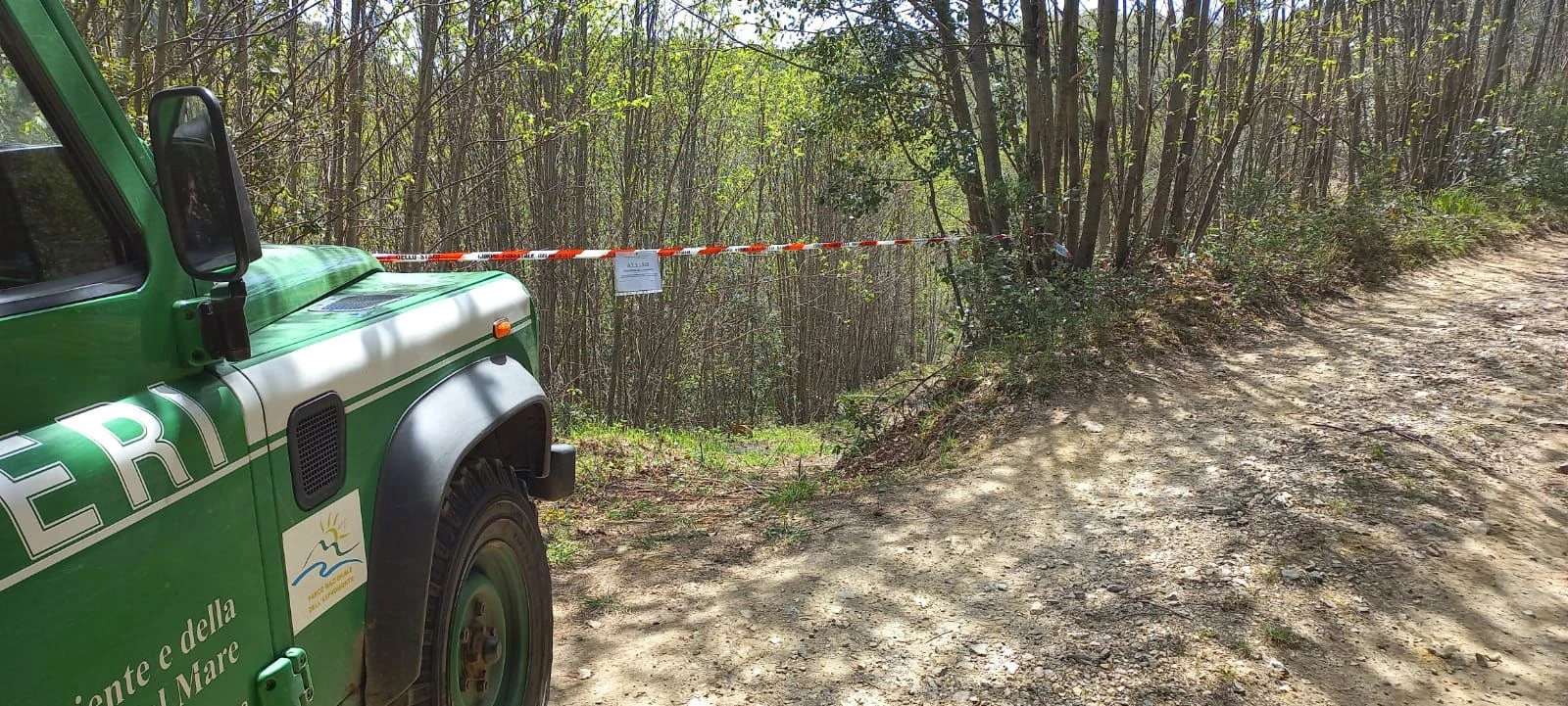 Operazione dei Forestali contro tagli boschivi irregolari e furto di legna nel Parco Nazionale dell’Aspromonte