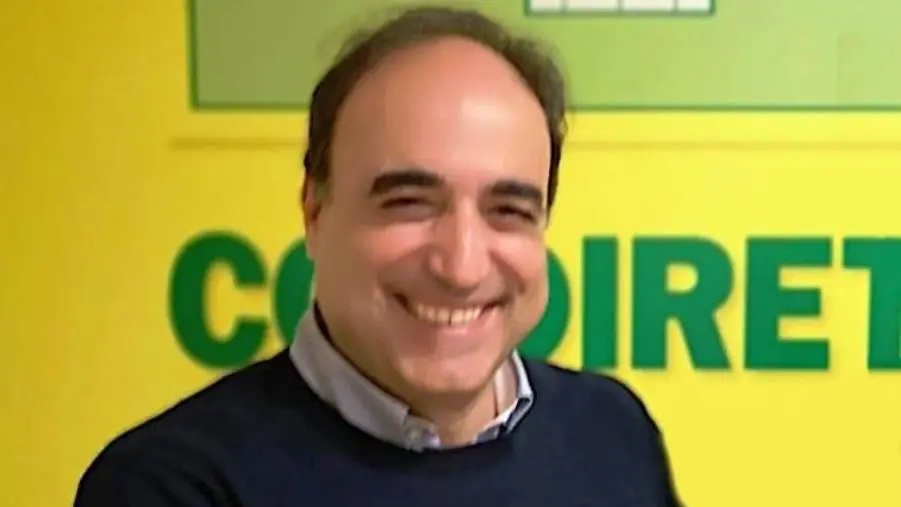 images Coldiretti Calabria: "Basta esitazioni, l’emergenza cinghiali è fuori controllo"