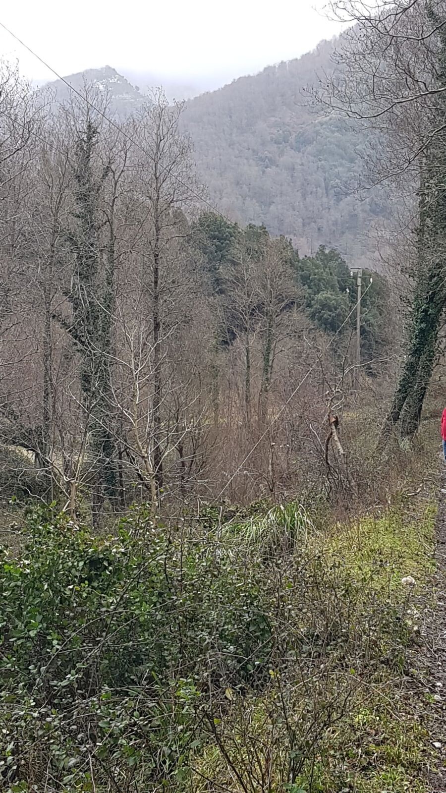 images Emergenza maltempo, guasti alle linee elettriche: fermi tanti acquedotti e impianti Sorical