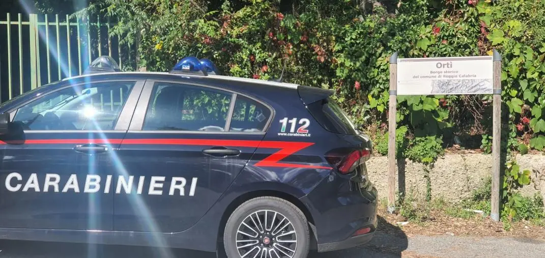 images Ruba in una casa e viene incastrato dalle telecamere: una denuncia nel Reggino 