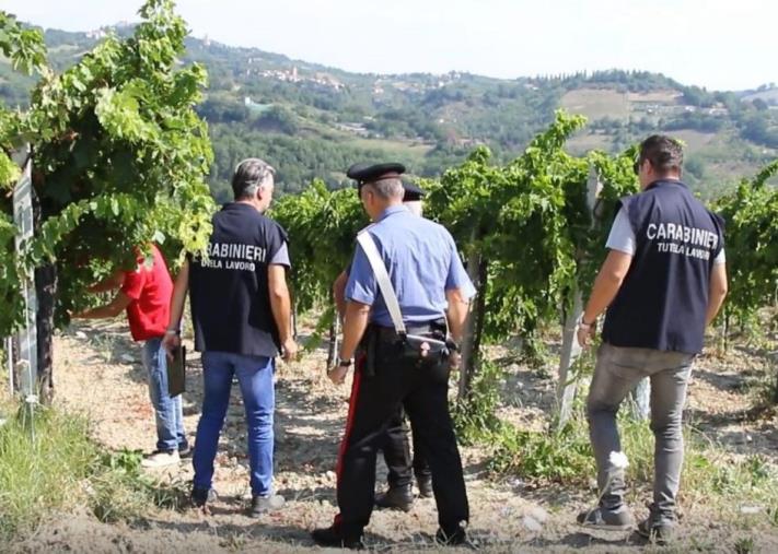 images Girifalco, sfruttavano i connazionali nei campi:  arrestati 13 cittadini bulgari  