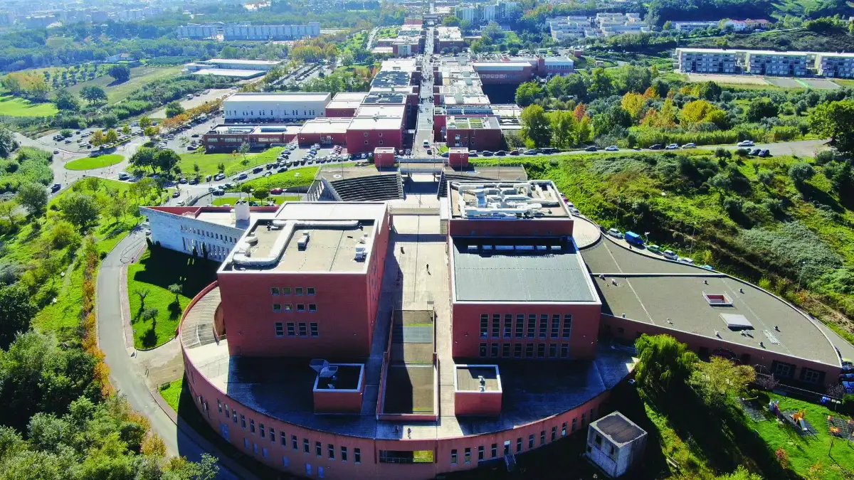 World University Rankings, l’Unical nella classifica delle migliori università al mondo