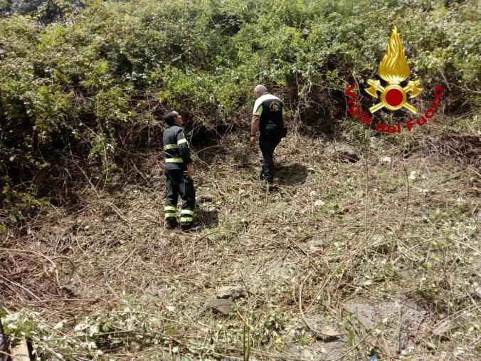 images Turista dispersa nei boschi della Sila Catanzarese: ritrovata sana e salva