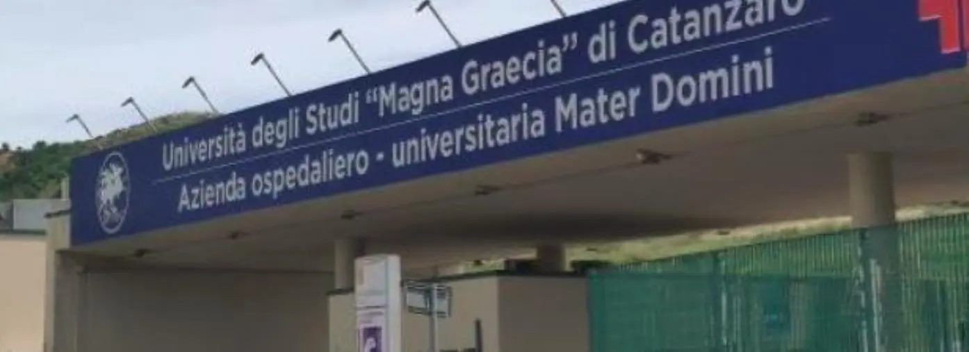 Appalti nella Sanità, nelle carte anche un esame che diventa "una barzelletta" images Appalti nella Sanità, nelle carte anche un esame che diventa "una barzelletta"