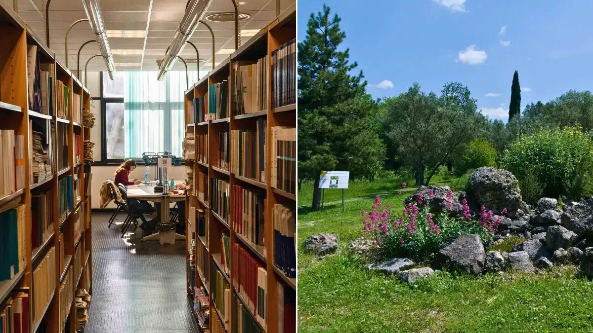 Unical, un Campus da vivere 7 giorni su 7: biblioteche e musei aperti anche nel weekend