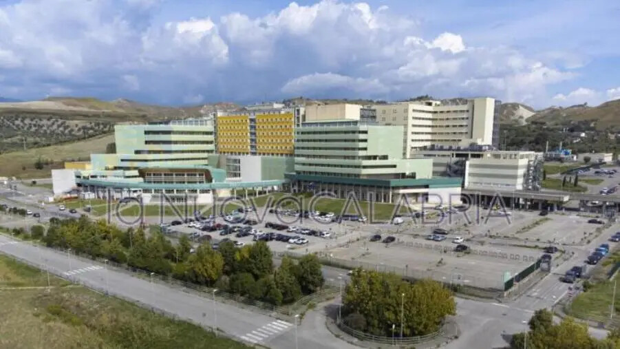 Nasce la Borsa di Studio Università Magna Greacia di Catanzaro – La Tazzina della Legalità images Nasce la Borsa di Studio Università Magna Greacia di Catanzaro – La Tazzina della Legalità