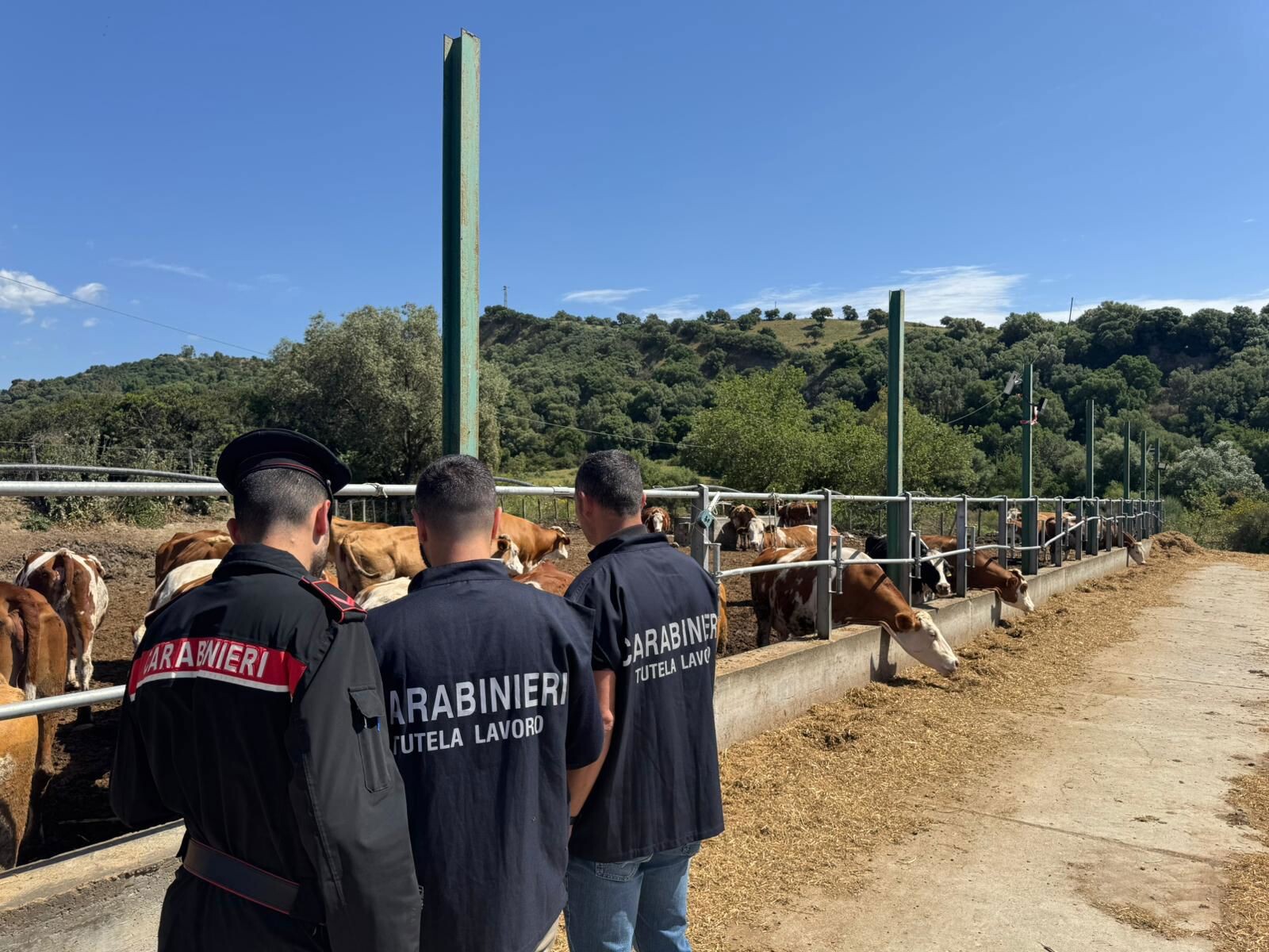images Operai stranieri al lavoro completamente “in nero”: sanzionata un'azienda di Sersale