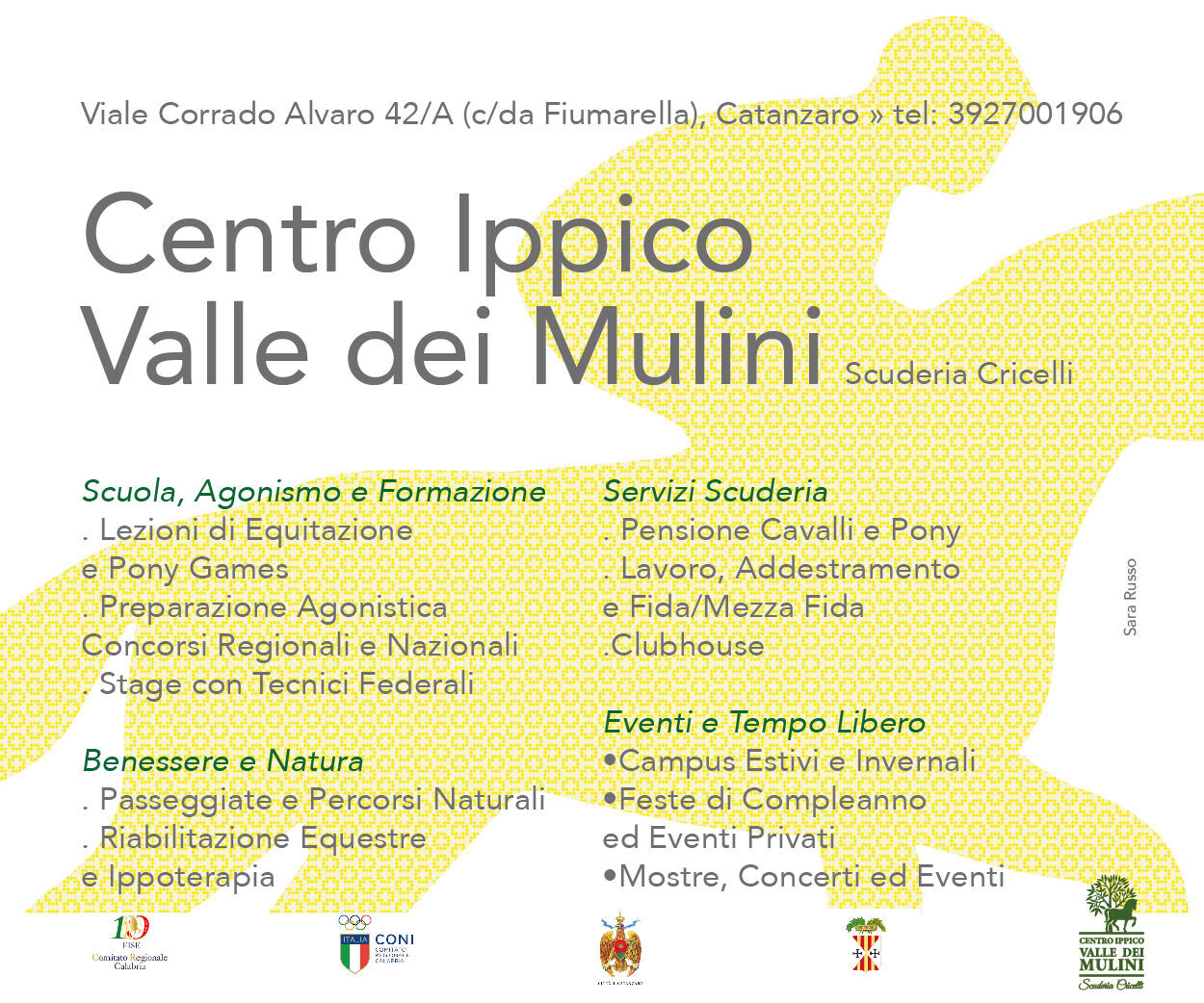 Catanzaro, riaperte le iscrizioni al Centro Ippico Valle dei Mulini: sport, natura e terapia ricreativa images Catanzaro, riaperte le iscrizioni al Centro Ippico Valle dei Mulini: sport, natura e terapia ricreativa