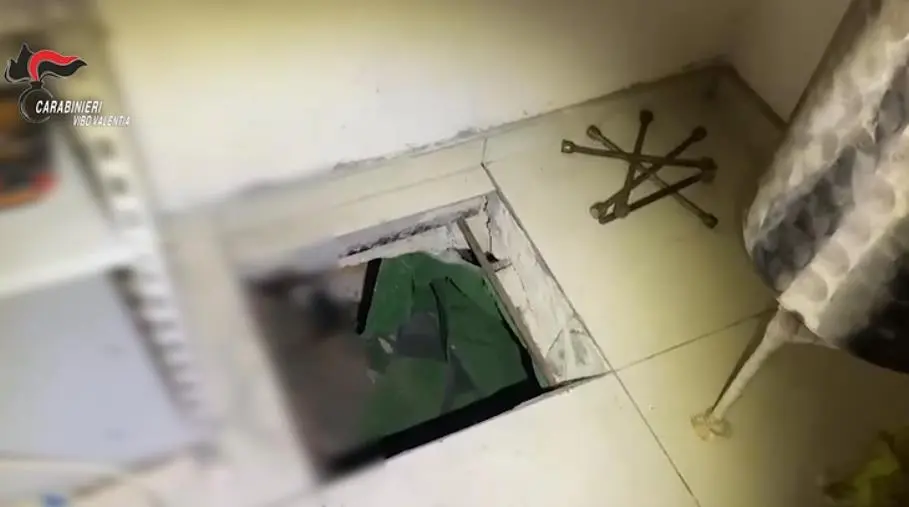 images Detenzione illegale di armi e munizioni occultate: 2 denunce nel Vibonese