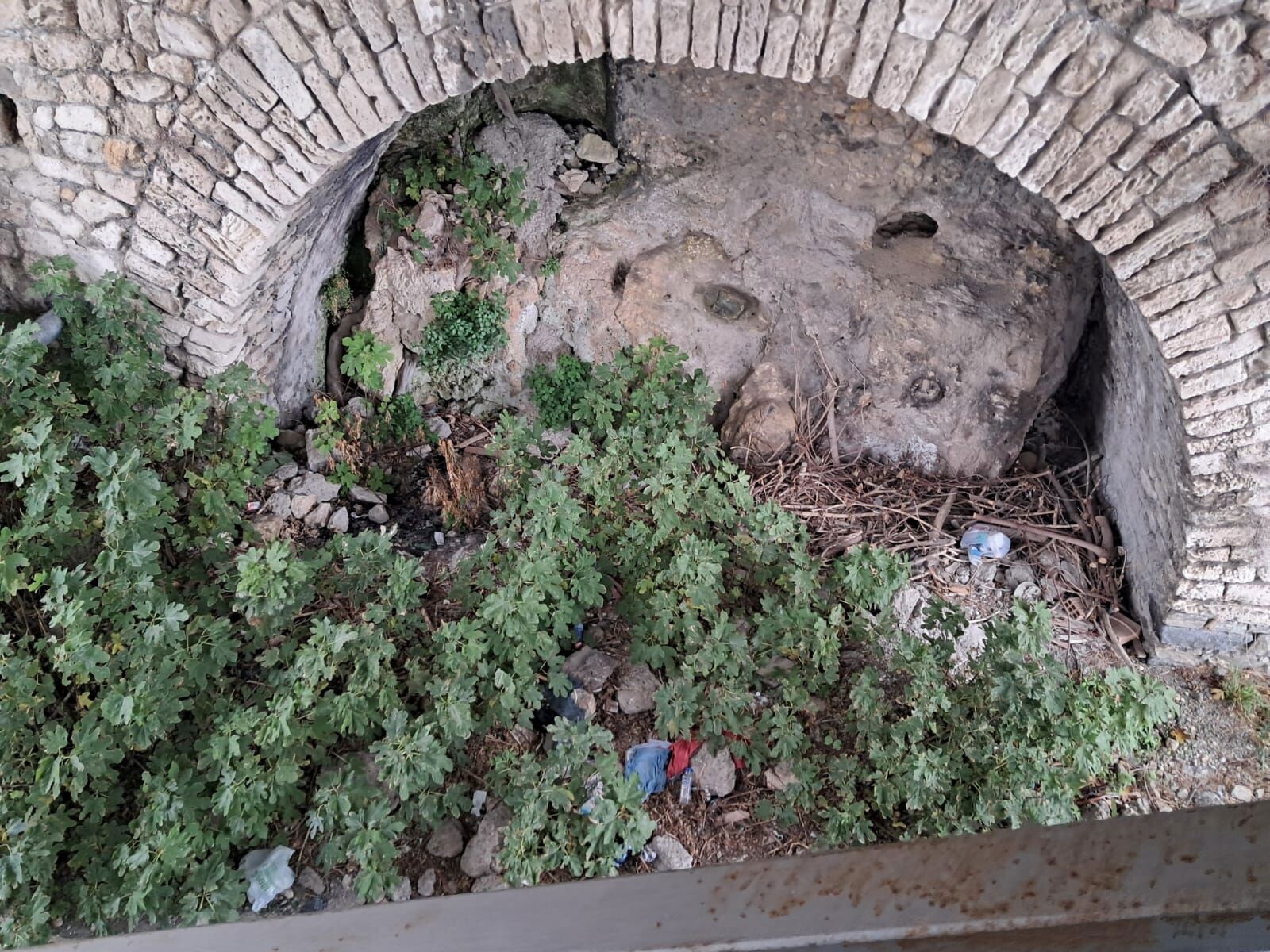 images A Catanzaro parcheggio di Bellavista nel degrado, Riccio: "Necessaria bonifica per rendere veramente funzionale l'area"