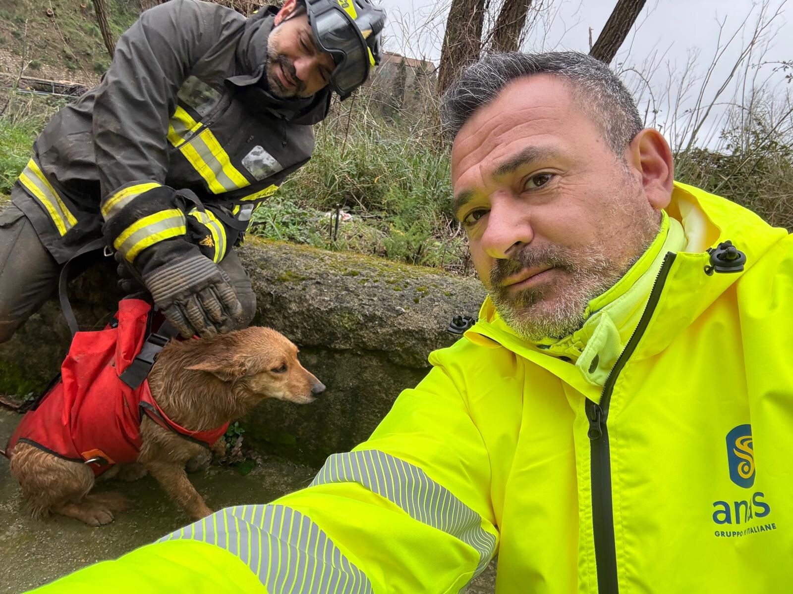 images Anas e vigili del fuoco salvano il cane Giorgio durante i lavori di ripristino&nbsp; sulla SS 19 a Tiriolo 