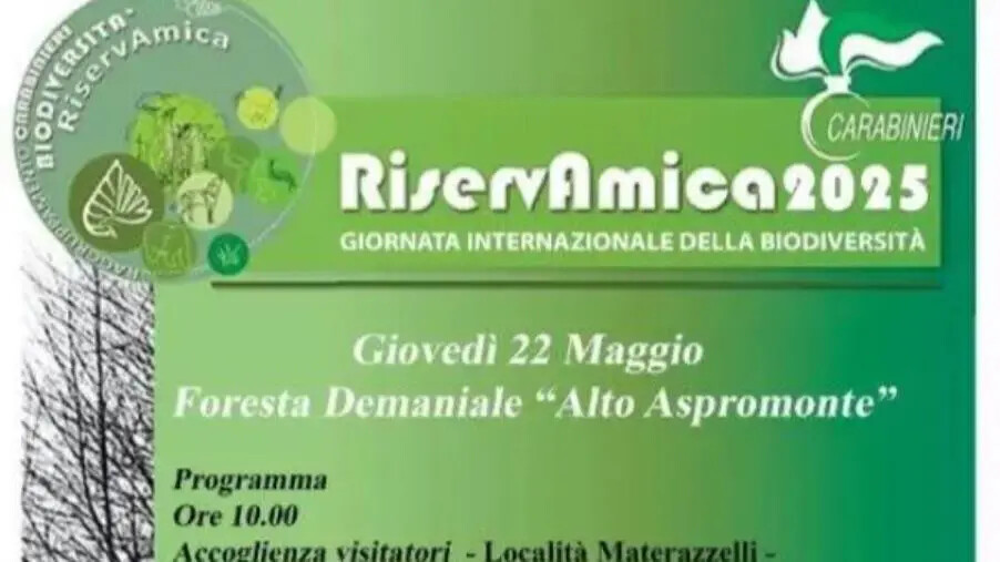 images RiservAmica 2025, il Reparto Carabinieri Biodiversità di Reggio Calabria apre gli accessi alla Foresta Demaniale “Alto Aspromonte”