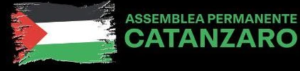 L'assemblea Catanzaro Palestina solidale dopo i due arresti a Napoli