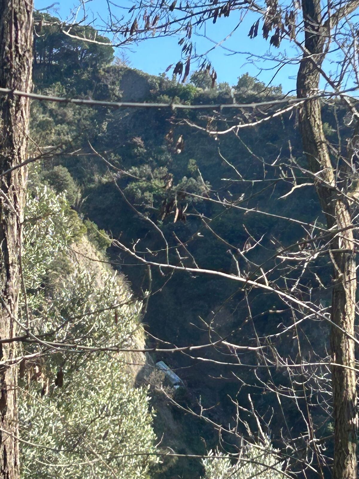 Catanzaro, autoarticolato finisce in una scarpata: si teme per il conducente images Catanzaro, autoarticolato finisce in una scarpata: si teme per il conducente