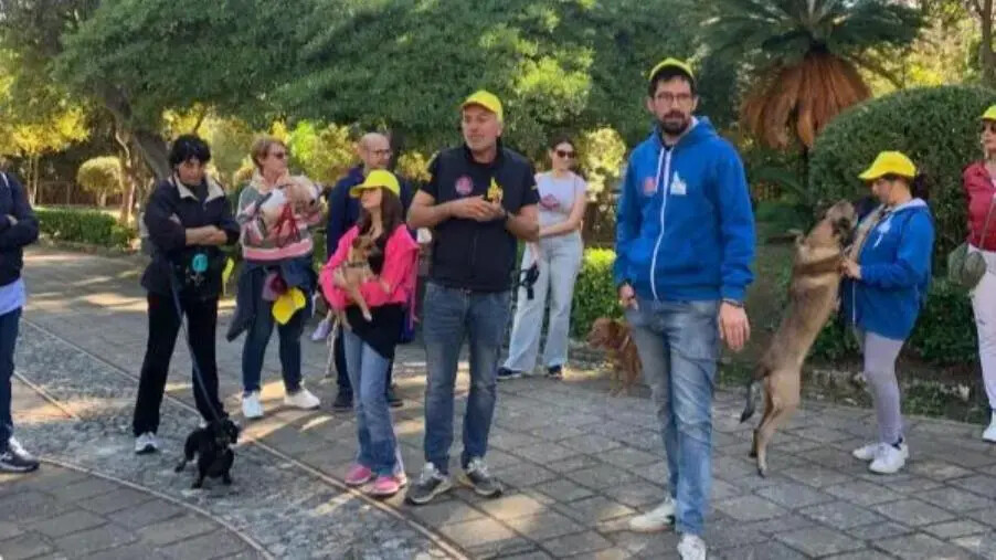 images EcoFest a Catanzaro, la "Passeggiata a 4 zampe” chiude l'edizione del Festival