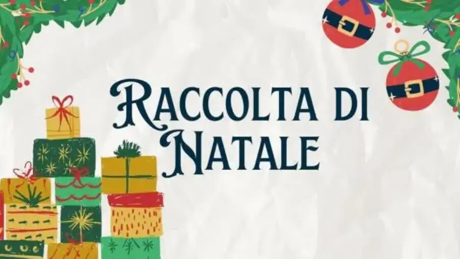 Catanzaro, al Circolo PD "Lauria" la raccolta di Natale e la tombolata per la pace images Catanzaro, al Circolo PD "Lauria" la raccolta di Natale e la tombolata per la pace