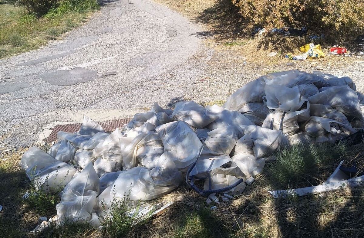 Catanzaro, rifiuti edili abbandonati a Santa Domenica: Serò chiede maggiori controlli images Catanzaro, rifiuti edili abbandonati a Santa Domenica: Serò chiede maggiori controlli