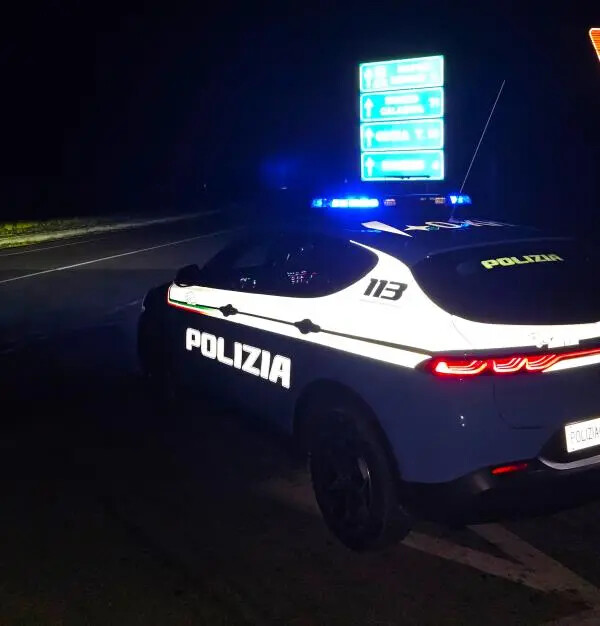 images Controlli nella piana di Gioia Tauro:11 denunce e sanzioni per oltre 15 mila euro