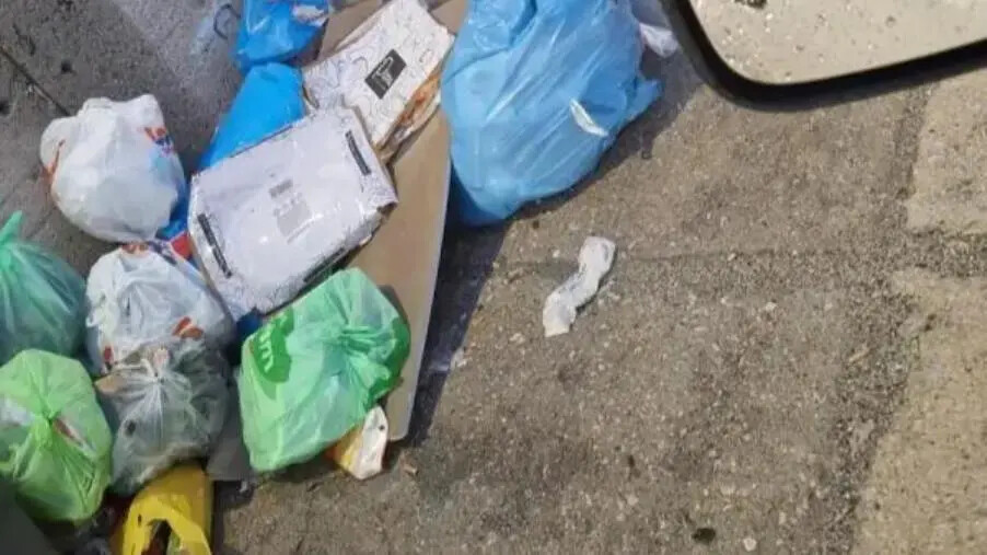 images Cumuli di rifiuti al porto di Catanzaro: per Levato, Polimeni e Costanzo "La situazione è grave"  