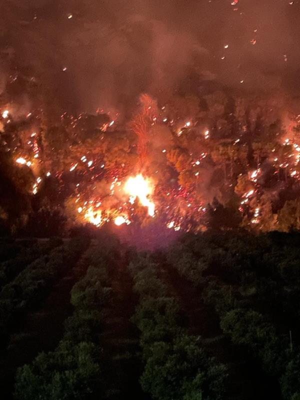 images Emergenza incendi. Fiamme anche tra Sersale e Zagarise