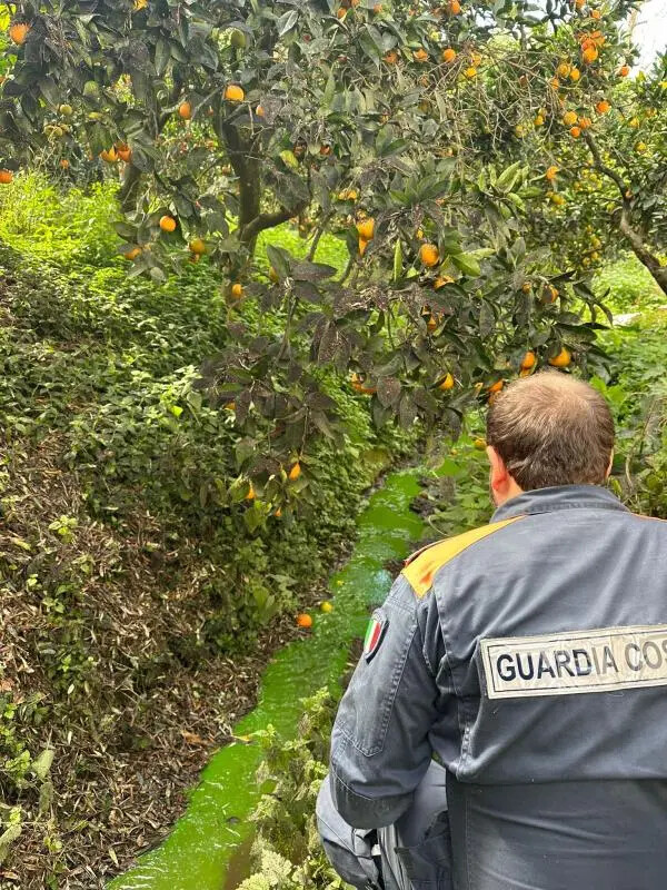 Sversava le acque di scarto in un torrente: sequestrato un frantoio oleario nel Reggino images Sversava le acque di scarto in un torrente: sequestrato un frantoio oleario nel Reggino
