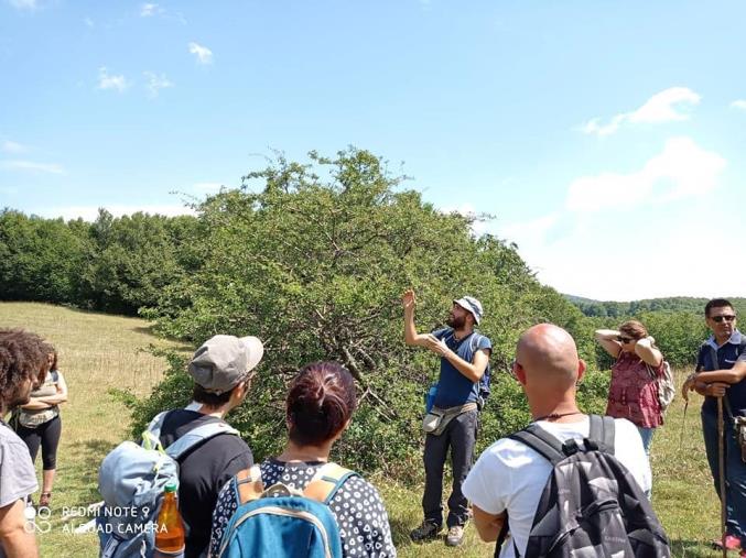 images Storie. La passeggiata eco-sensoriale di Francesco Marino, il giovane di Petronà che ha fatto del suo amore per la natura una vera e propria professione