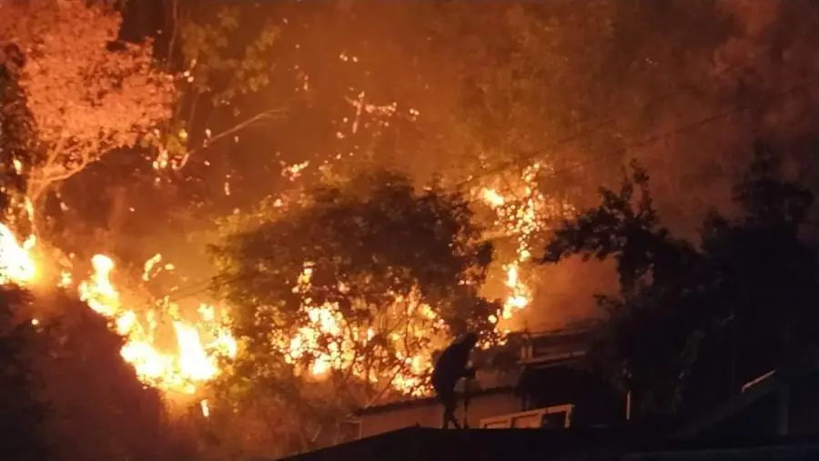 images Emergenza incendi a Gimigliano: 50 famiglie evacuate nella notte