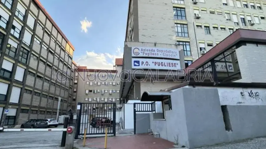 images Catanzaro, TAVI anche al 'Pugliese': la 'Dulbecco' rafforza l’offerta assistenziale per i pazienti cardiopatici 