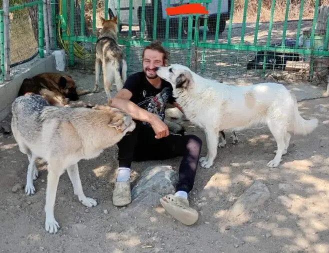 Caccuri, accoglie cani abbandonati in una struttura ma per l'Asp sono troppi: finiranno in canile? images Caccuri, accoglie cani abbandonati in una struttura ma per l'Asp sono troppi: finiranno in canile?