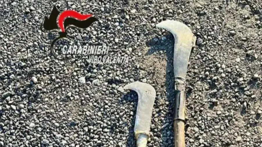 Trovato in possesso di 2 roncole nel cofano dell'auto: una denuncia nel Vibonese images Trovato in possesso di 2 roncole nel cofano dell'auto: una denuncia nel Vibonese