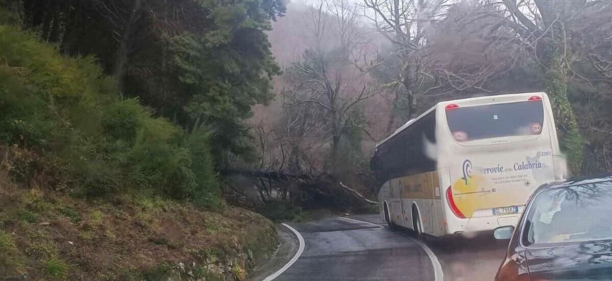 Catanzaro-Soveria Mannelli, nonostante una raccolta firme i collegamenti restano ridotti images Catanzaro-Soveria Mannelli, nonostante una raccolta firme i collegamenti restano ridotti