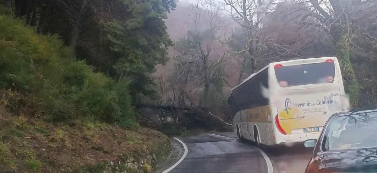 Catanzaro-Soveria Mannelli, nonostante una raccolta firme i collegamenti restano ridotti 