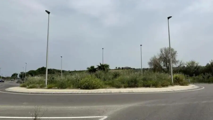 Organizzazione "Basta vittime sulla Strada Statale 106": «Avviare Iter burocratico per riconoscere riserva naturale le rotatorie presenti sulla S.S 106» images Organizzazione "Basta vittime sulla Strada Statale 106": «Avviare Iter burocratico per riconoscere riserva naturale le rotatorie presenti sulla S.S 106»