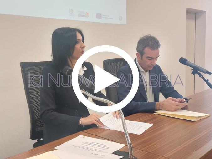 images Regione Calabria e Scuola, progetto da 25 milioni per i disturbi specifici dell'apprendimento