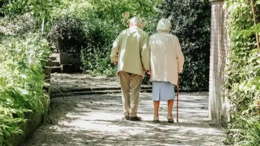 images Lento (Confsal Calabria): "Un popolo che invecchia e la crisi delle aree interne"