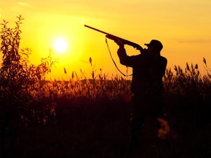 Giunta regionale, approvato il calendario venatorio per l'annualità 2022-23 images Giunta regionale, approvato il calendario venatorio per l'annualità 2022-23