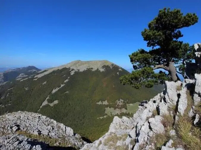 images Fondi Ue 2023-2027, in arrivo 55 milioni per le aree protette 