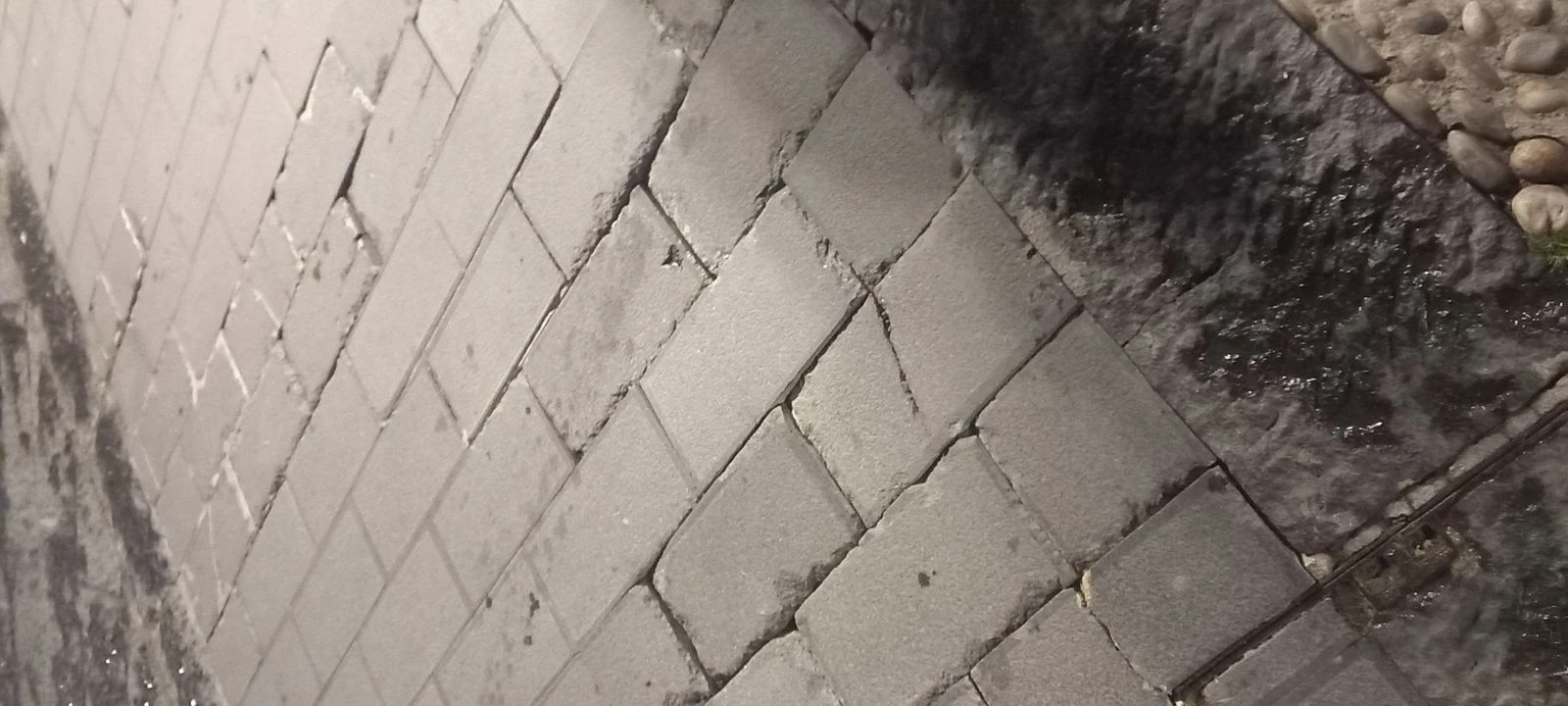 Pisano FDI: "Degrado centro storico e corso Mazzini, assenza di manutenzione ordinaria e rischi infortuni per i pedoni"