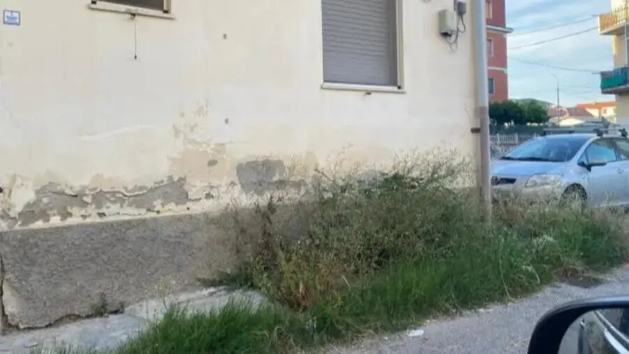 images Catanzaro, Costa: "In via Angitola l'erba sta raggiungendo le finestre delle case" 